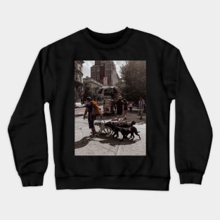 Dog Sitter, Manhattan, NYC Crewneck Sweatshirt